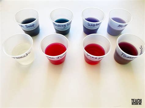 Afbeeldingsresultaten voor Buffer Experiment Using Red Cabbage Juice