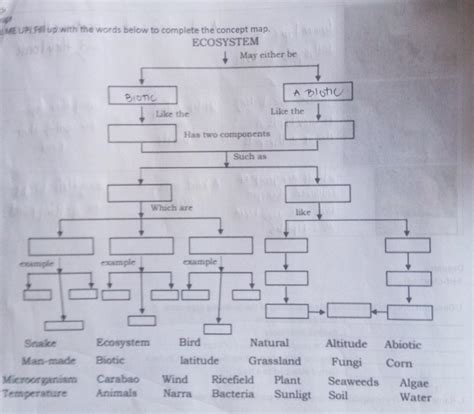 Ecosystem Concept Map Answer Key に対する画像結果