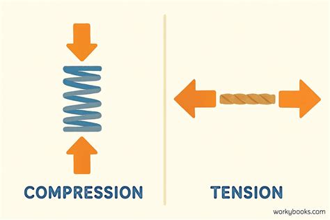Image result for Compression Compter Science Notes