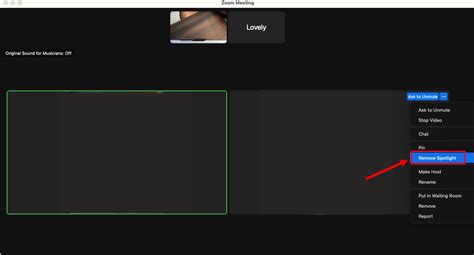 Image result for Spotlight View Zoom