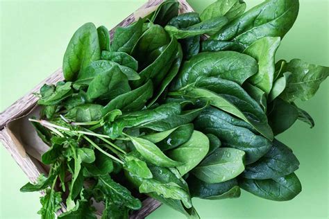 Image result for Spinach Leaves Images without Colour
