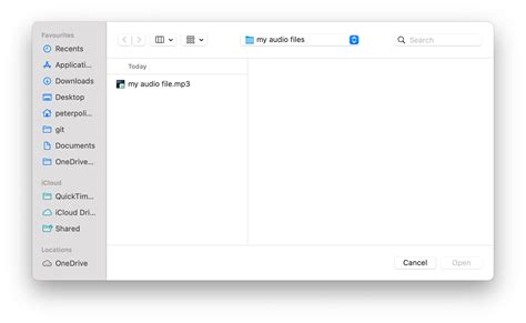 Image result for MP3 Audio Files