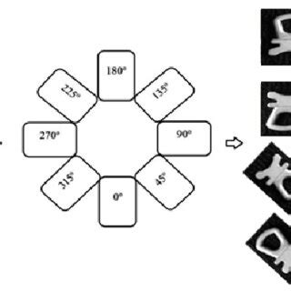 Image result for Internal Rotation Degrees