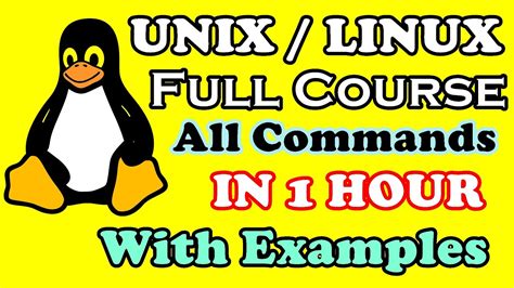 Image result for Unix Tutorial for Beginners
