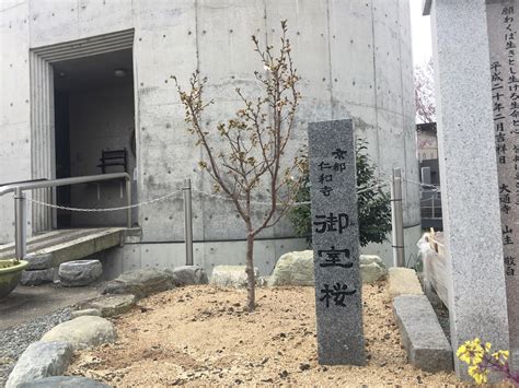 Toradh íomhá ar HtmlTable Data Align Center