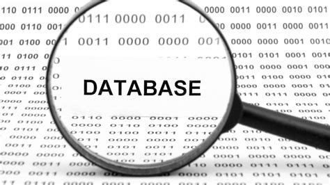 Image result for Flat File S Database