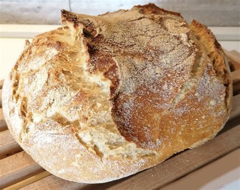 Image result for Fare IL Pane
