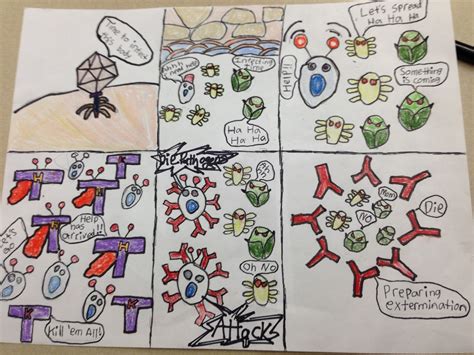 Image result for Innate Immune System Project