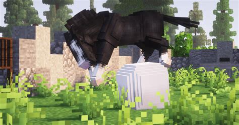 Image result for Minecraft Swem