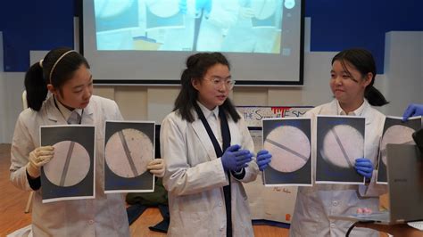 Image result for ESM School Colors