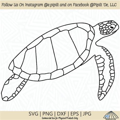 Toradh íomhá ar Turtle Drawing Side View
