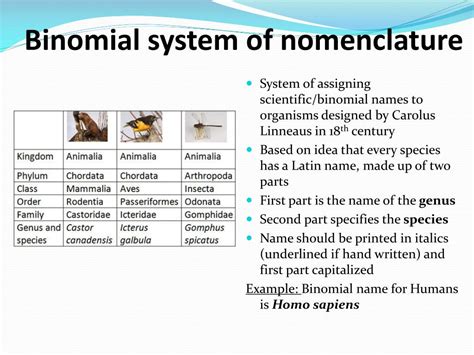 Afbeeldingsresultaten voor Binomial System Examples