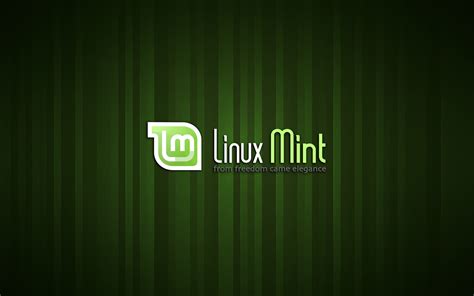 Image result for Linux Mint Desktop Screen