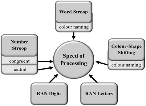 Image result for Models of Processing Speed