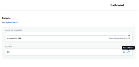 Twitter API Consumer Key に対する画像結果