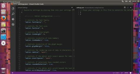 Afbeeldingsresultaten voor Visual Studio Code Variants Linux