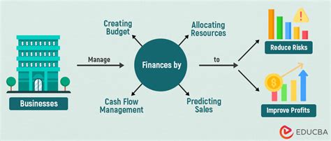 Image result for Example Financial Administration