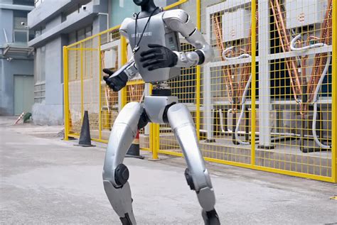 Image result for Kung Fu Robot Bookk