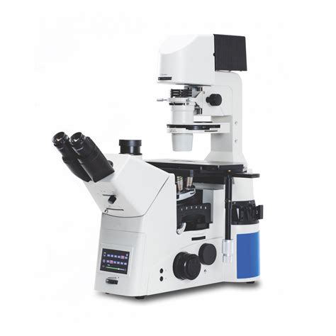 Inverse Microscope に対する画像結果