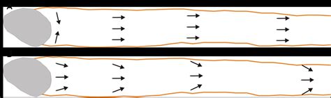 Parallel Lay Pattern に対する画像結果
