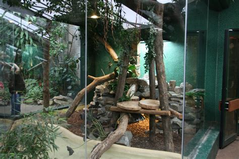 Image result for Python Zoo Enclosure