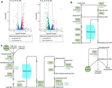 Image result for Comparative Transcriptome