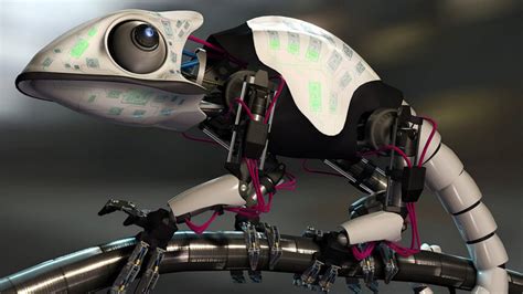 Image result for Descargar Imagenes Para Pantalla