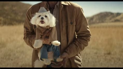 Image result for GEICO Gecko Commercials. Latest