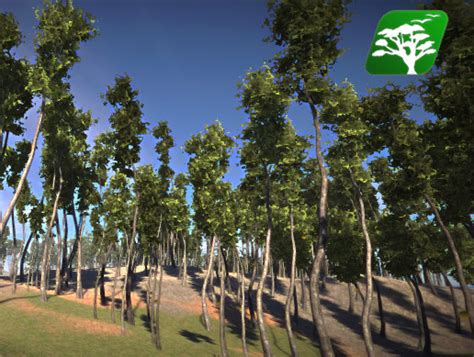 Image result for Unity Realistic Trees