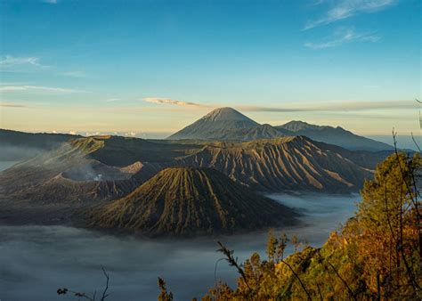 Image result for Java Mame