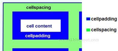 Cellpadding CSS に対する画像結果