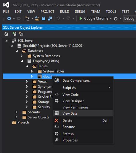 Image result for Working with Visual Studio SQL Explorer