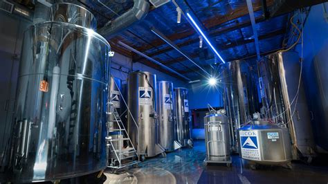 Toradh íomhá ar Cryonics People