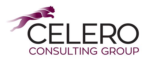 Image result for Celero Connect Logo