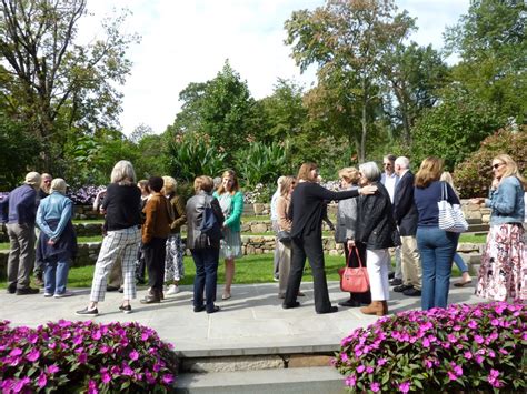 Image result for Geaneous Tree