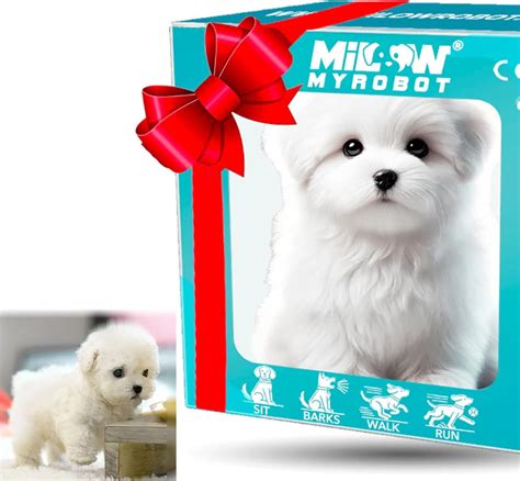 Image result for Robot for Pets