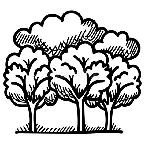 Image result for Tree Canopy Line Work