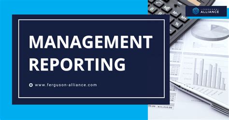 Image result for Management Reporting Framework Functions