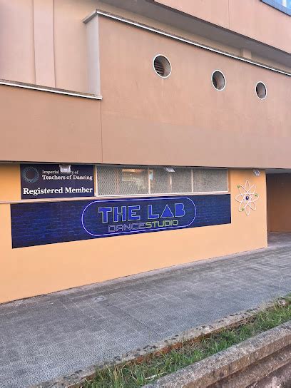 The Lab Dance に対する画像結果