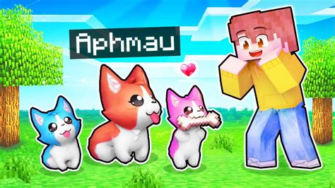 Image result for Aphmau Minecraft Dog Mod