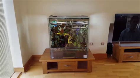 Image result for Green Tree Python Tank Setup