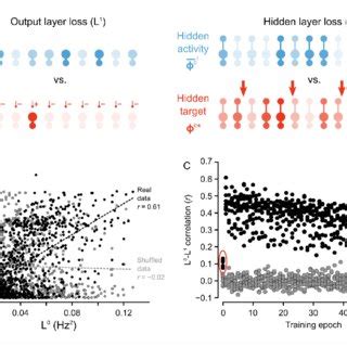 Image result for Credit Assignment Problem in Neural Networks
