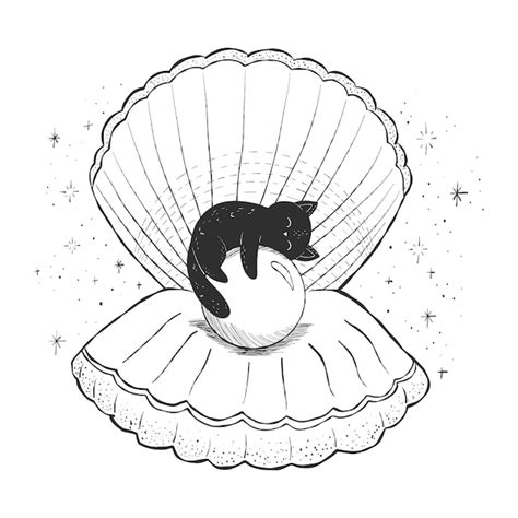 Shell Cat Drawing に対する画像結果