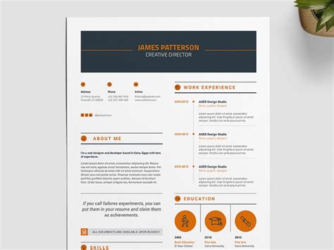 Image result for InDesign CV Template