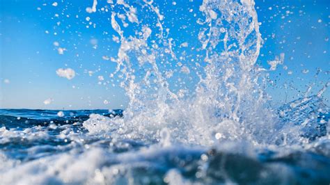 Image result for Splash Math Splashlearn