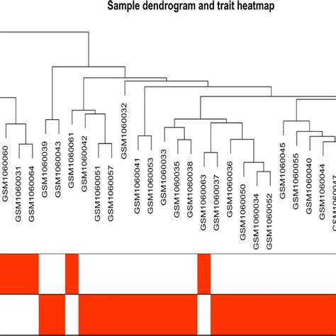 Image result for Heatmap Dendrogram Clustering