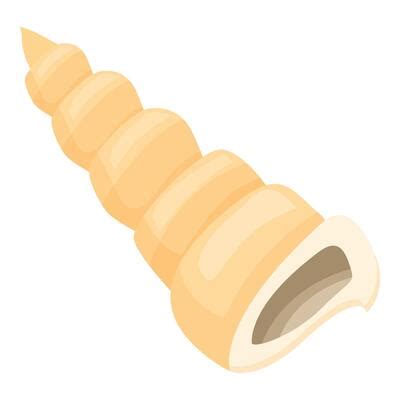 Shell Cartoon Vector Art, Icons, and Graphics for Free Download