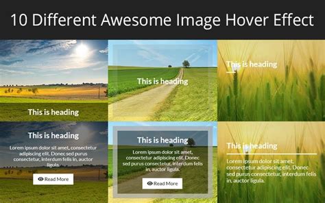 Image result for Image Hover for CSS