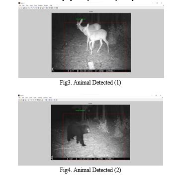 Image result for Predicted Detections Map Animals