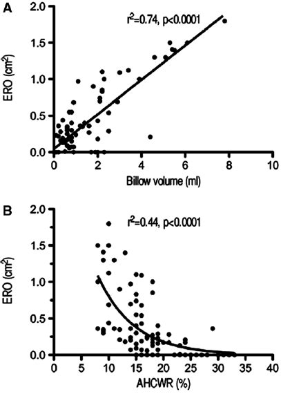 Inverted Correlation Graph に対する画像結果